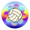 Small_1505849824-vball_2